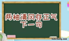 两袖清风一身正气 两袖清风存正气,一身正气存人间