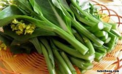 菜心是什么季节的 菜心是什么季节的蔬菜