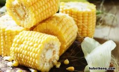 新鲜水果玉米可以冷冻保存吗 怎样保存鲜玉米