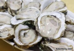 生蚝与牡蛎的功效与作用 生蚝牡蛎的区别