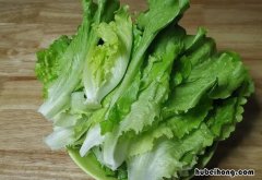 生菜能否放冰箱 生菜放冰箱保存可以吗