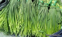 蒜苔放冰箱可以放多久 蒜苔在冰箱能放几天
