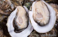 生蚝怎么清洗内脏图解视频讲解教程 生蚝怎么清洗内脏图解怎么清洗