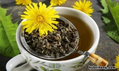 蒲公英茶如何保存 蒲公英茶可以保存多久