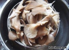 蘑菇怎么炸才酥脆 蘑菇怎么炸才酥脆窍门