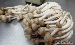 蘑菇长了一层白毛还能吃吗 蘑菇长了一层白毛还能吃吗?