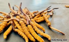 虫草放冰箱保存好吗 虫草放保鲜还是冷藏
