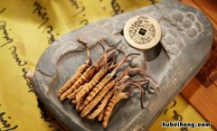 虫草放冷藏还是冷冻 干的冬虫夏草怎样保存