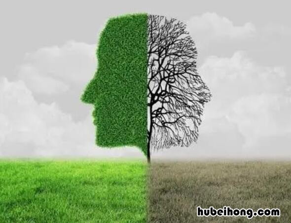 中考主观和客观是什么意思 历史中主观和客观是什么意思