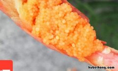 虾籽能吃吗 北极甜虾的虾籽能吃吗?