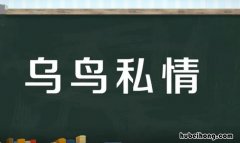 乌鸟私情怎么造句一年级 乌鸟私情怎么造句三年级
