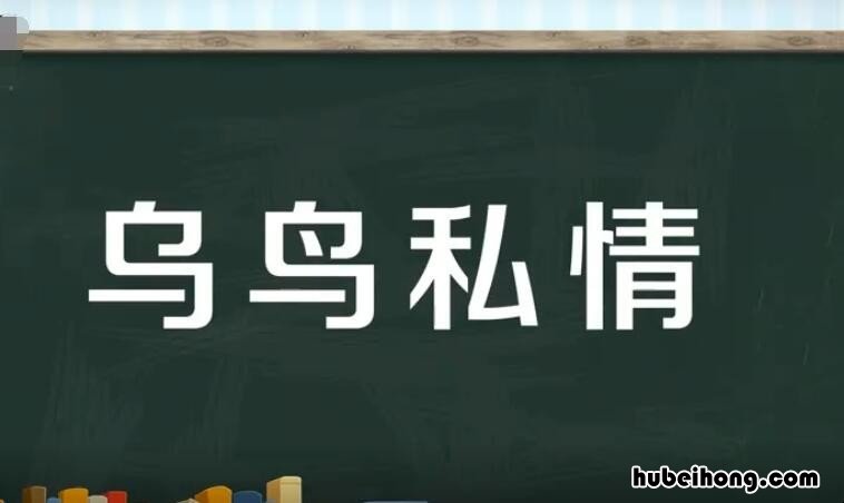 乌鸟私情怎么造句一年级 乌鸟私情怎么造句三年级
