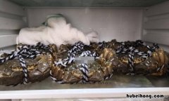 螃蟹冷藏为什么要盖上湿毛巾 螃蟹放冰箱里要用袋子装吗
