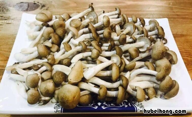 蟹味菇为什么要焯水 蟹味菇为什么要焯水?蟹味菇的吃法!