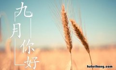 2023年9月份黄道吉日 2023年9月3日是什么日子