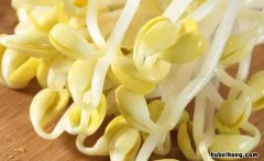 豆芽属不属于蔬菜 豆芽菜属于蔬菜吗