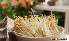 豆芽根能吃吗 豆芽要拔根吗