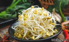 豆芽过夜怎么留才新鲜 豆芽过夜怎么留才新鲜一点