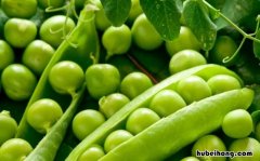 豌豆几月份成熟 东北豌豆几月份成熟