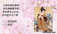 云想衣裳花想容全诗的意思 云想衣裳花想容全诗 的描写人物