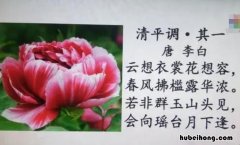 云想衣裳花想容描写的是哪位美女金庸小说 云想衣裳花想容 春风拂槛露华浓