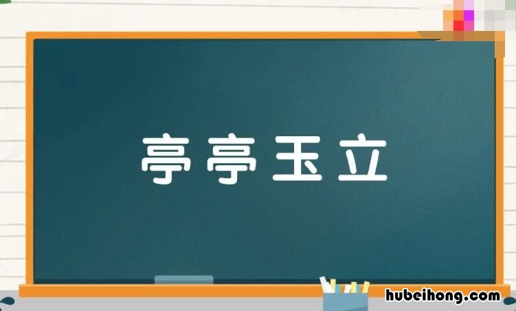 亭亭玉立怎么造句 亭亭玉立怎样造句?