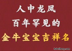 人中龙凤的意思是什么 人中龙凤指什么生肖