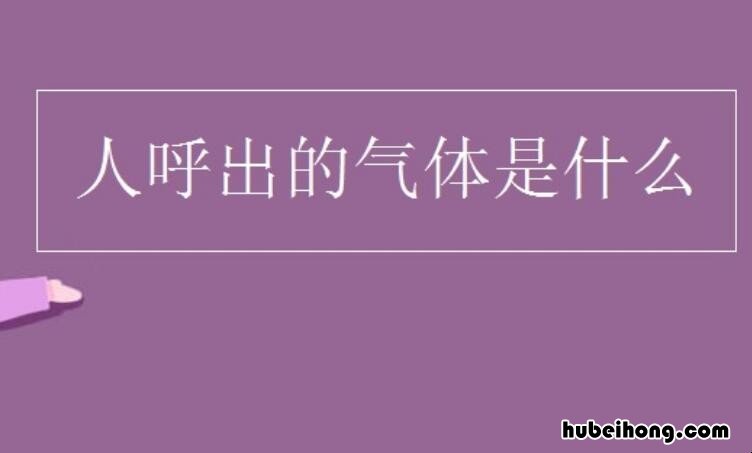 人呼出的气体是什么 人呼出的气体是什么味道