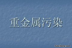 什么是重金属 什么是重金属,它对人体有什么危害