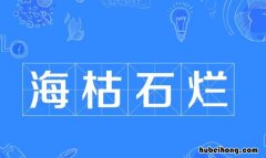 什么枯石烂的成语是什么 什么枯石烂四字成语有哪些意思