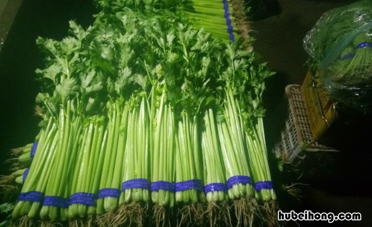 香芹和西芹有哪些区别 香芹和西芹哪个营养价值高一些