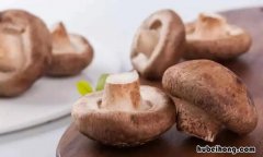 香菇可以放冰箱冷冻吗 香菇能放冰箱冷冻吗?