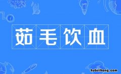 什么毛什么血词语有哪些 什么毛什么血词语有哪些成语