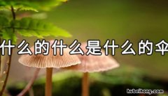 什么的什么是什么的伞 什么的什么是什么的伞造句二年级
