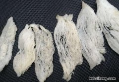 马来西亚买燕窝攻略有哪些 马来西亚代购的燕窝真的假的