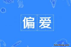 什么是偏爱 偏爱和例外是指什么