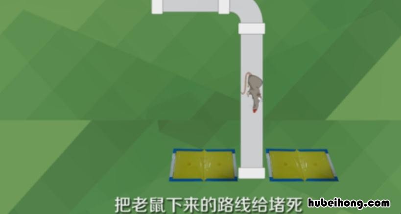 粘鼠板使用技巧大全 粘鼠板使用技巧视频