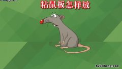 粘鼠板使用技巧大全 粘鼠板使用技巧视频
