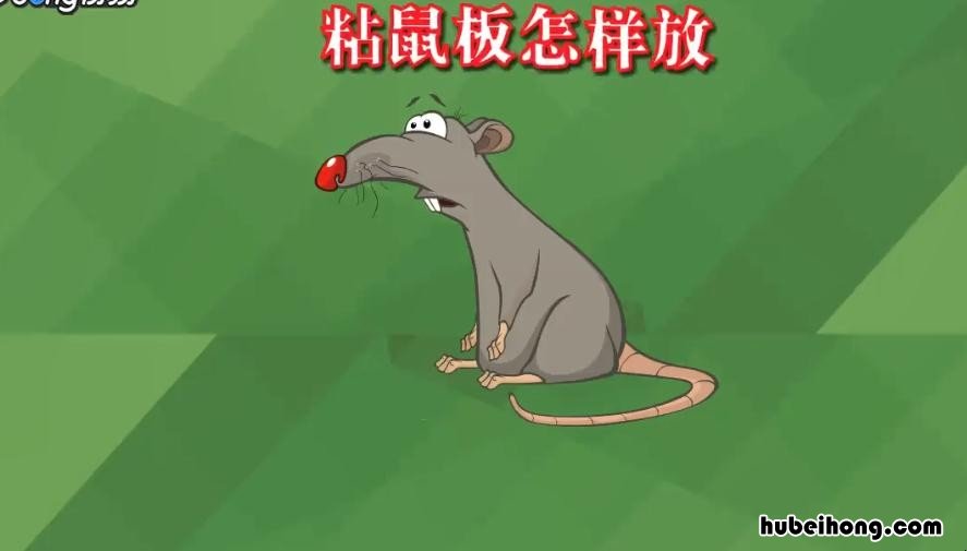 粘鼠板使用技巧大全 粘鼠板使用技巧视频