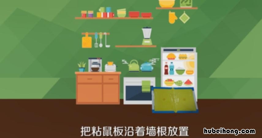 粘鼠板使用技巧大全 粘鼠板使用技巧视频
