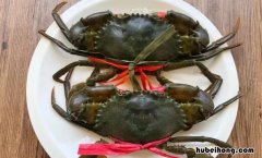 青蟹是河蟹还是海蟹 青蟹是河蟹还是海蟹?青蟹怎么做好吃