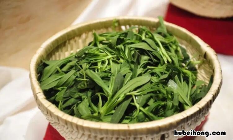 面条菜是什么菜 面条菜是什么菜图片大全