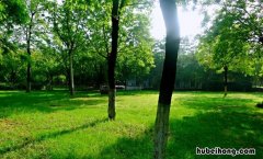 什么的春光如何填空 什么的春光填词语填空