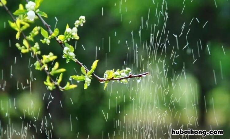 什么的春雨填空词语有哪些 的春雨填空