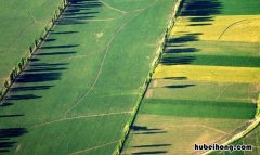 什么的田野填空词语有哪些 什么的田野填空词语有哪些