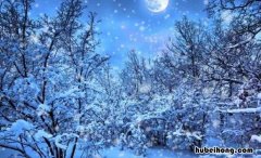 什么的雪花什么飘落下来如何写 什么的雪花什么地飘落下来填空