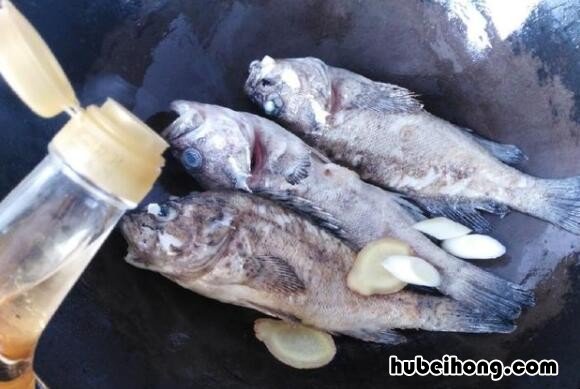 鱼汤怎么炖出奶白色 鱼汤怎么煮才会乳白色