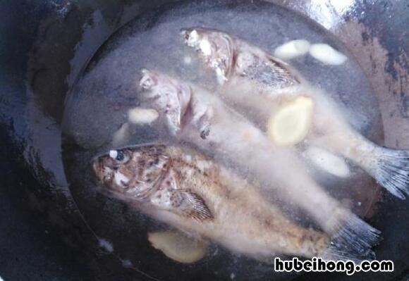 鱼汤怎么炖出奶白色 鱼汤怎么煮才会乳白色