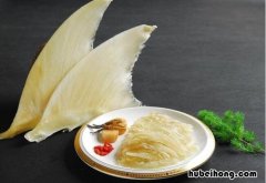 鱼翅是什么 鱼翅是什么样子的图片