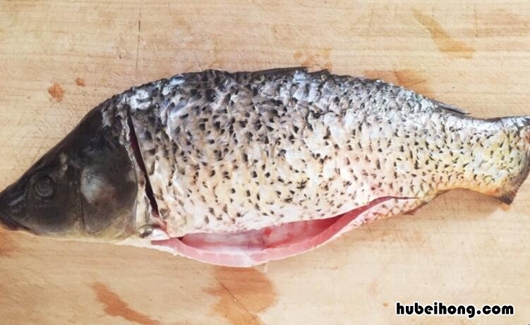 鱼胆破了鱼还能吃吗 鱼胆破了鱼还能吃吗?的苦胆有毒吗